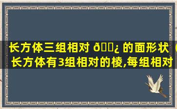 长方体三组相对 🌿 的面形状（长方体有3组相对的棱,每组相对的棱有4条）